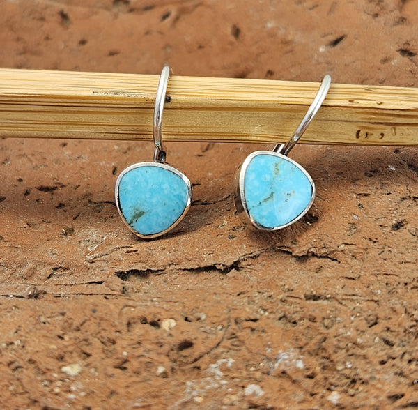 Small Turquoise Drop Earrings with Sterling Silver Hooks
