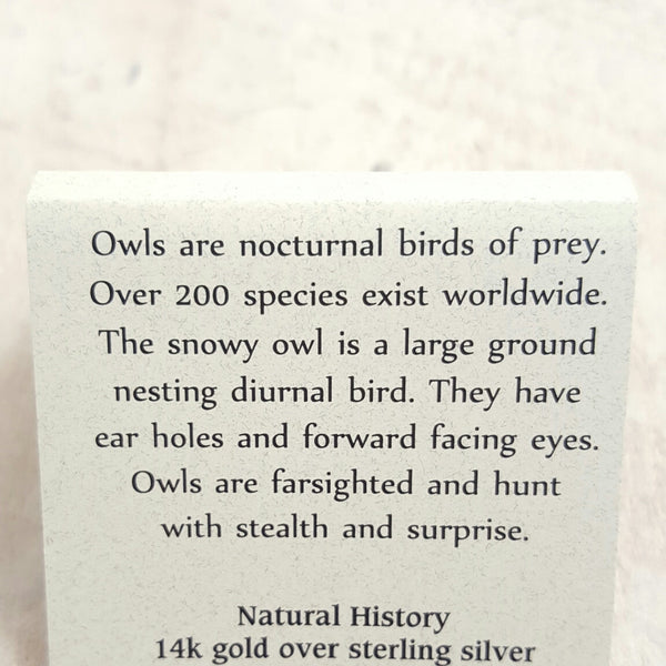 Back of Owl card