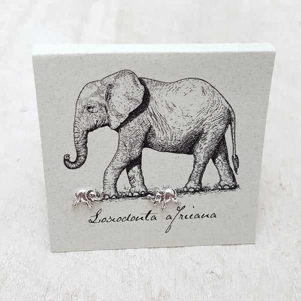 Front of Silver Elephant Earring Card