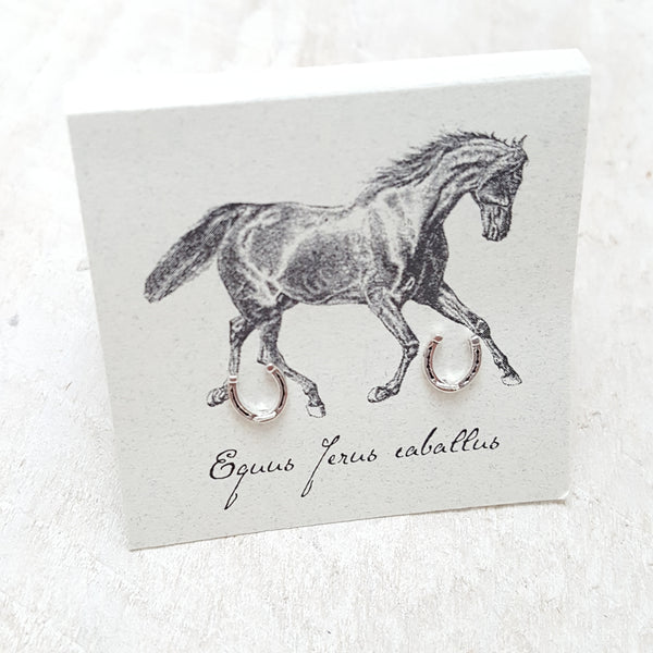 Front of Silver Horseshoe Earring Card