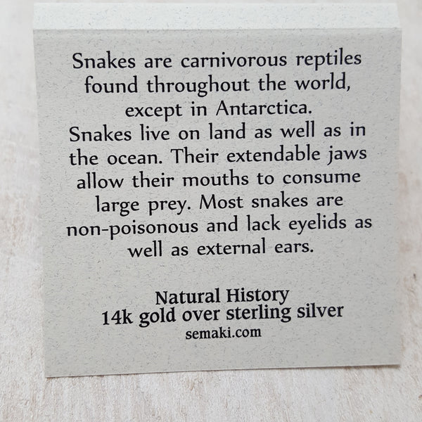 Back of Snake card