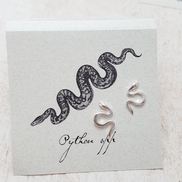 Front of Silver Small Snake Earring Card