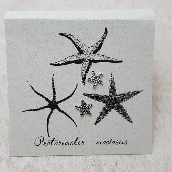 Front of Silver Starfish Earring Card