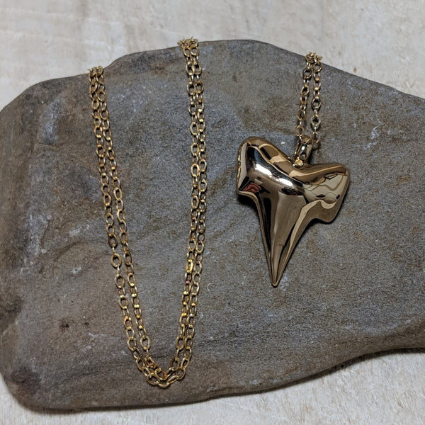 front of shark tooth necklace with chain