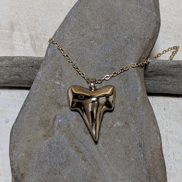 front of shark tooth necklace close up