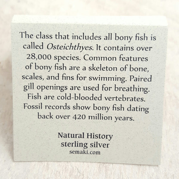 Back of Fish card